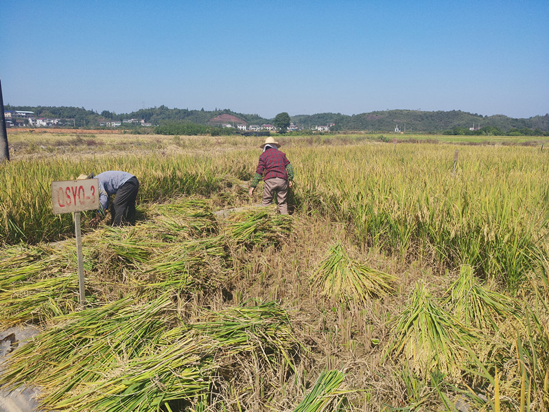云唐土壤重金屬分析儀提升檢測(cè)效率