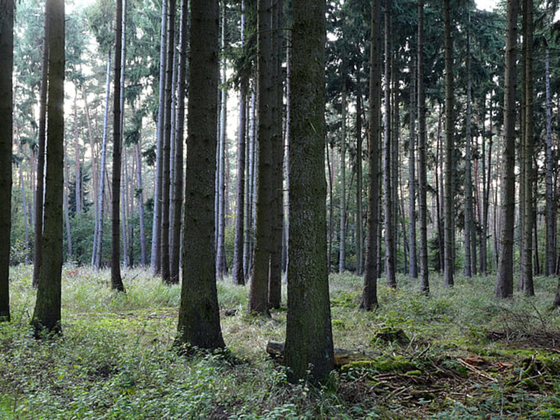 空氣負氧離子檢測儀可實時監控空氣質量 空氣負氧離子檢測儀可實時監控空氣質量
