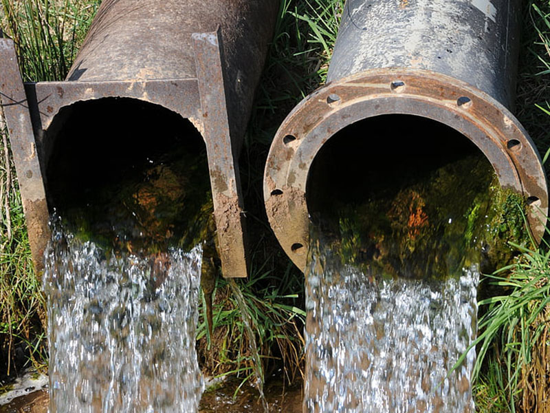 云唐生物毒性測(cè)試儀更智能 云唐生物毒性測(cè)試儀更智能