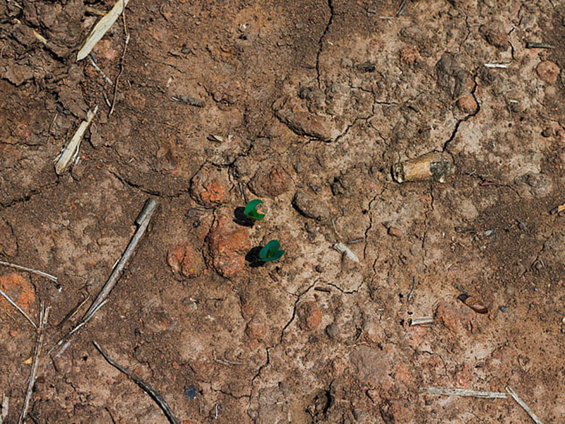 土壤肥料養(yǎng)分檢測儀可減少肥料引起的環(huán)境污染 土壤肥料養(yǎng)分檢測儀可減少肥料引起的環(huán)境污染