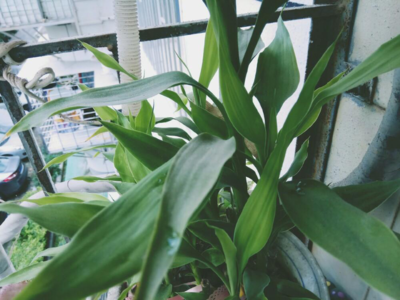 土壤養分快速測定儀 土壤養分快速測定儀