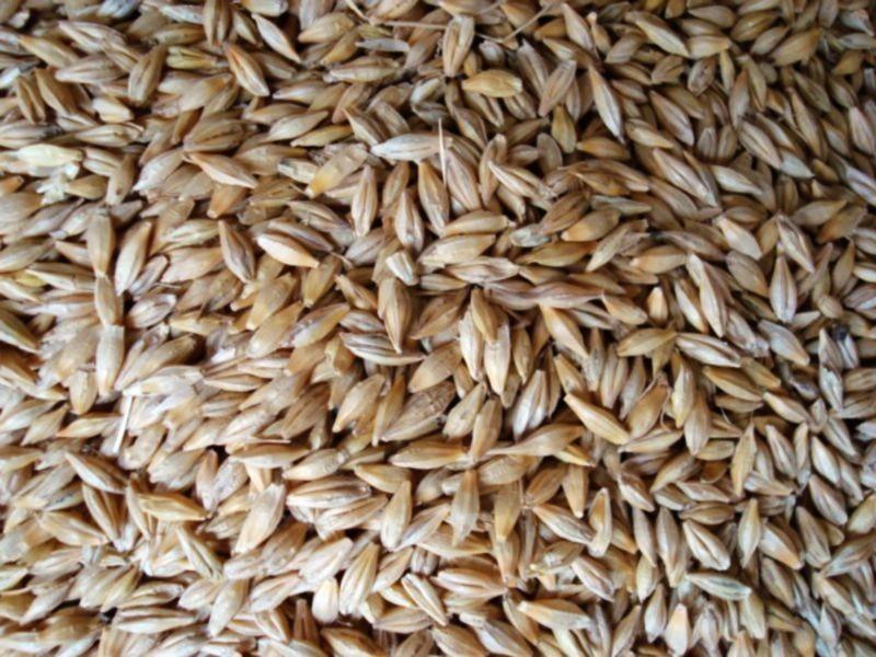 糧食重金屬檢測儀，滿足現場檢測需求