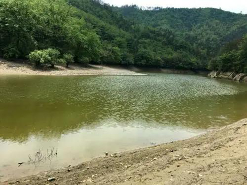 水產(chǎn)養(yǎng)殖檢測(cè)儀,為水源保護(hù)提供精準(zhǔn)數(shù)據(jù) 水產(chǎn)養(yǎng)殖檢測(cè)儀,為水源保護(hù)提供精準(zhǔn)數(shù)據(jù)