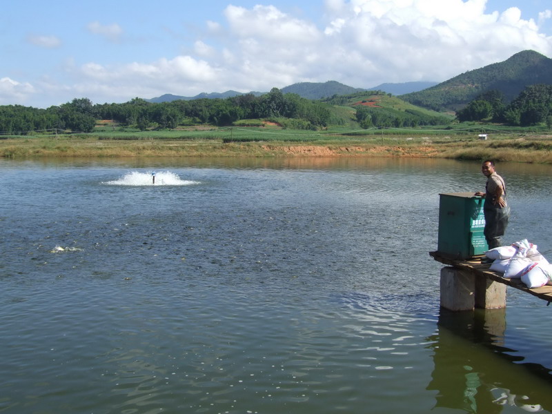 水產養殖檢測儀，為水產提供優良的生長環境