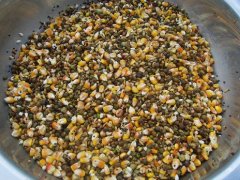 真菌毒素對人和動物有極大的危害！