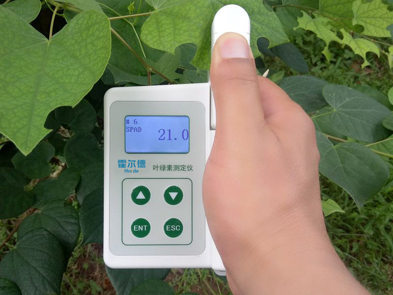 葉綠素含量測量儀,可用于植物施肥的依據(jù) 葉綠素含量測量儀,可用于植物施肥的依據(jù)